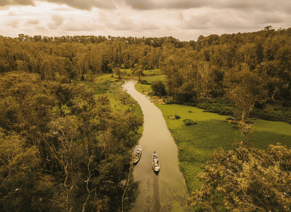 Rừng tràm Trà Sư